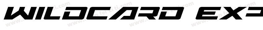 Wildcard Expanded Italic Expanded I字体转换